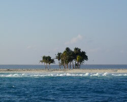 L'île de Clipperton