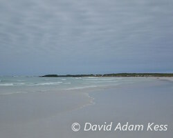 Les îles Galapagos Les îles Galapagos